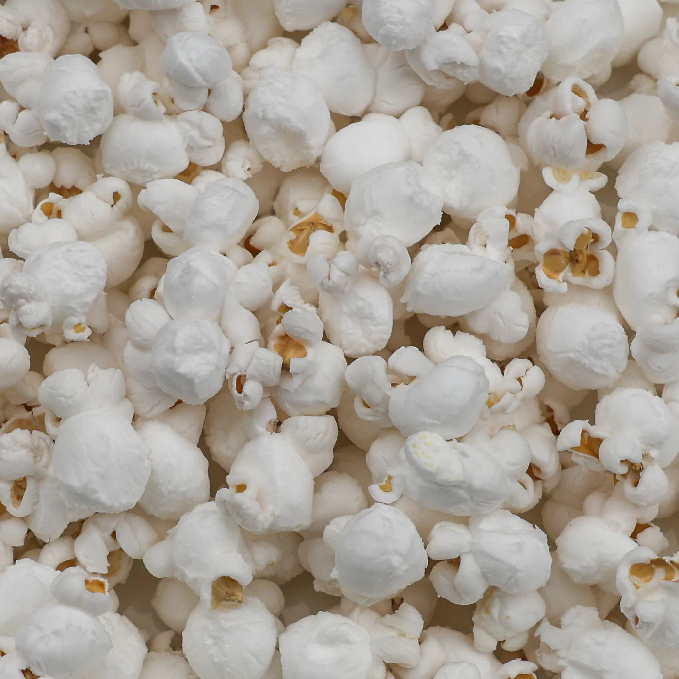 Amish Country Popcorn - Baby White Hulless Popcorn