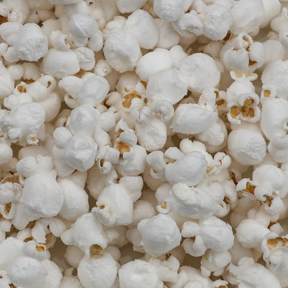 Amish Country Popcorn - Baby White Hulless Popcorn