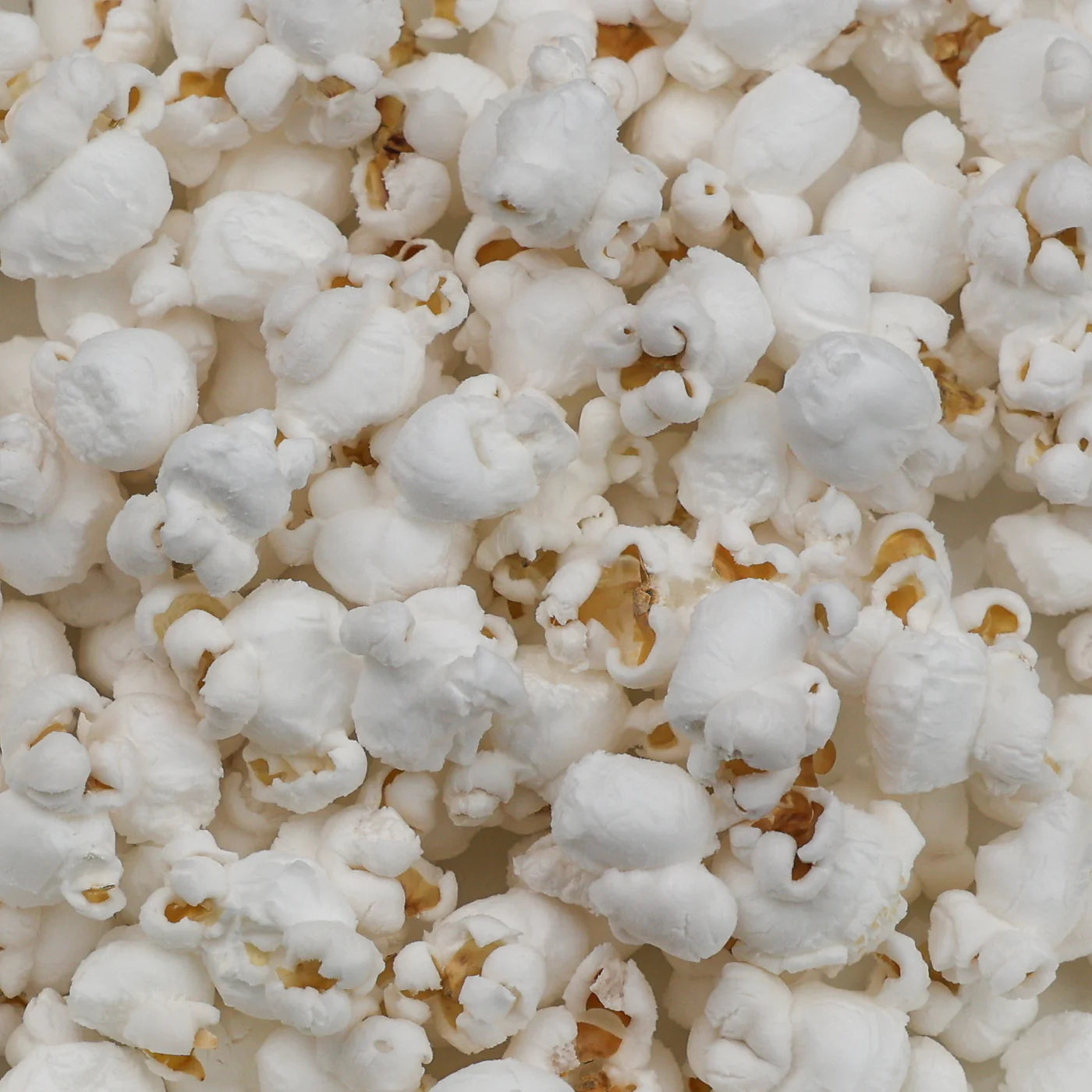 Amish Country Popcorn - Medium White Hulless Popcorn