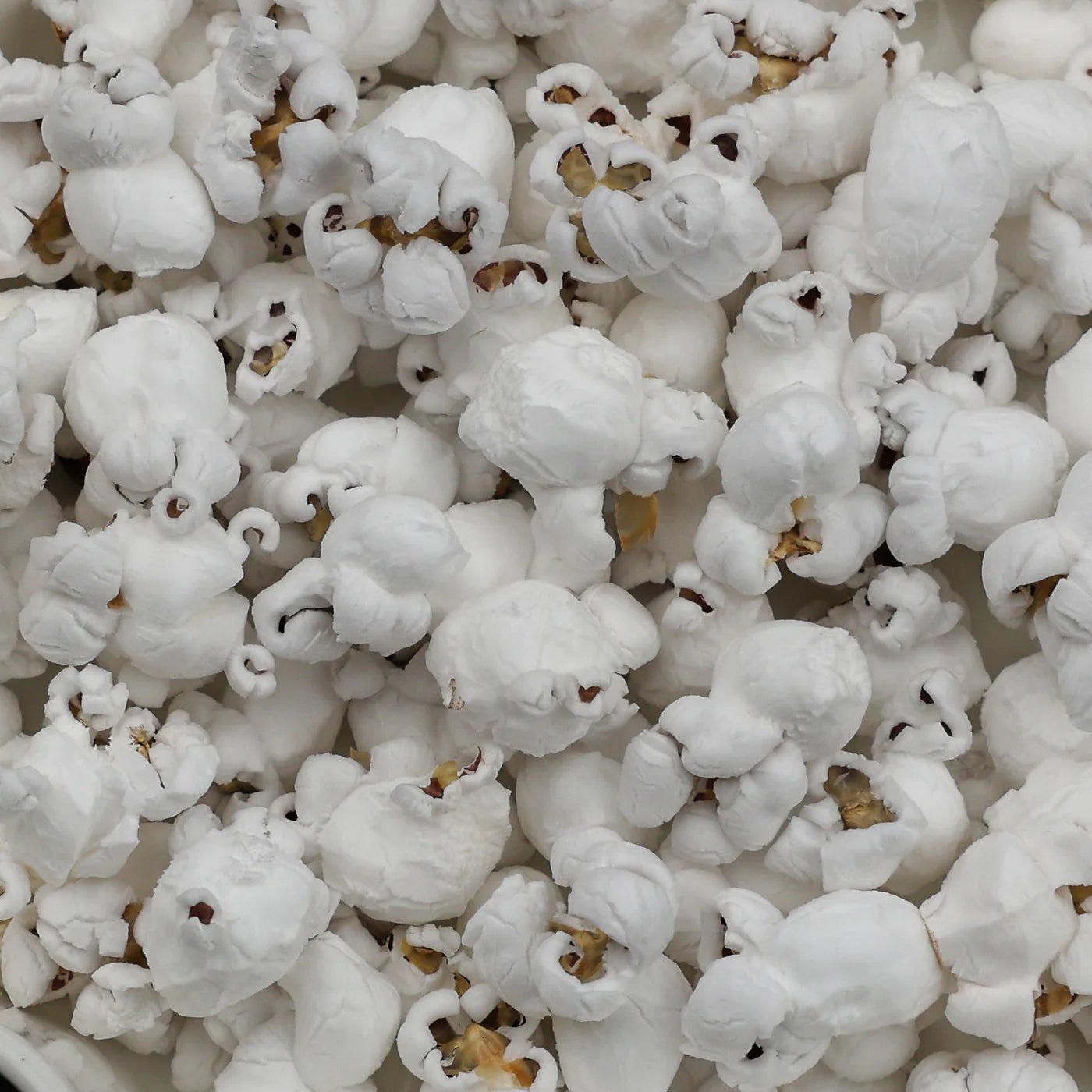 Amish Country Popcorn - Midnight Blue Hulless Popcorn