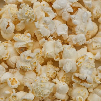 Amish Country Popcorn - Mushroom Popcorn