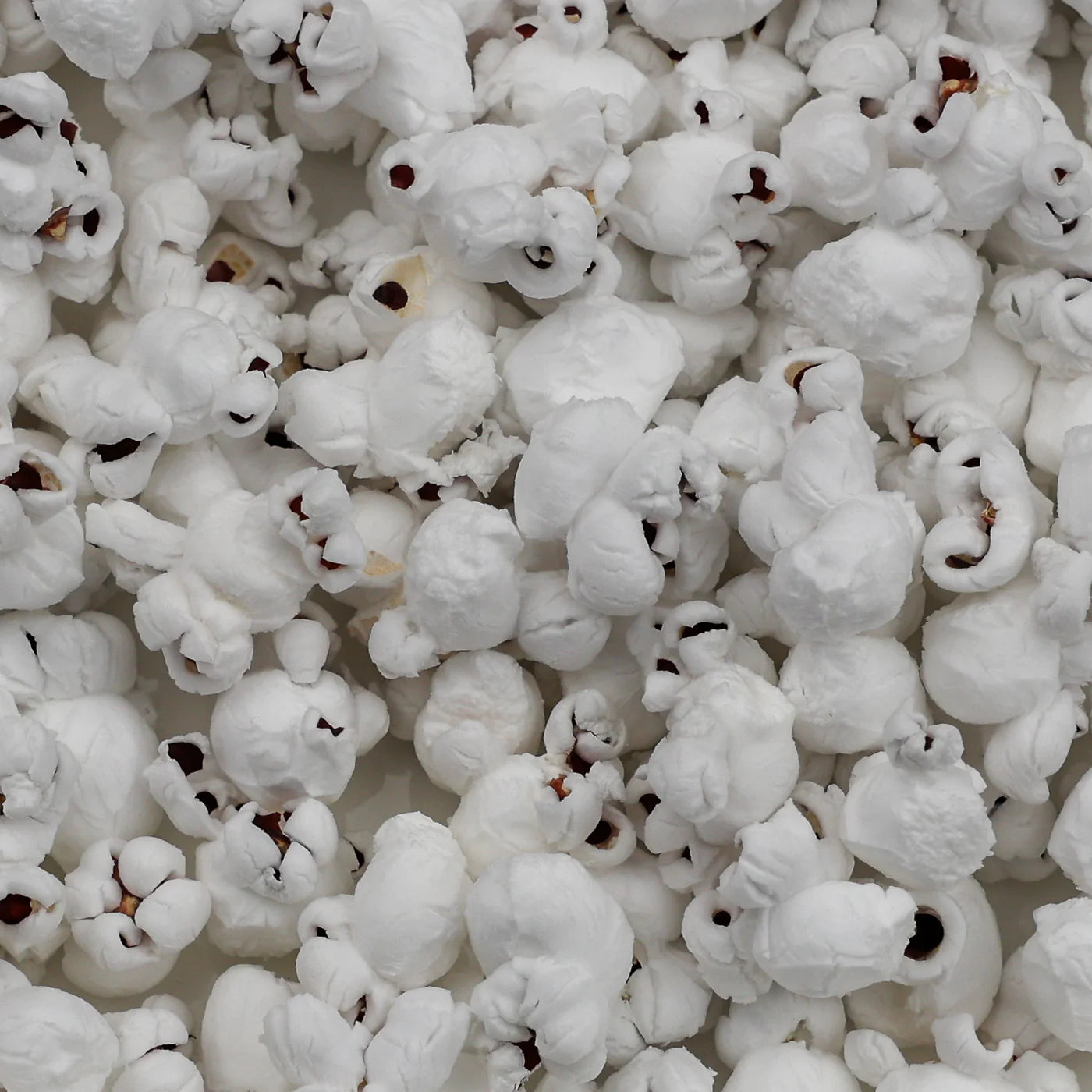 Amish Country Popcorn - Red Popcorn