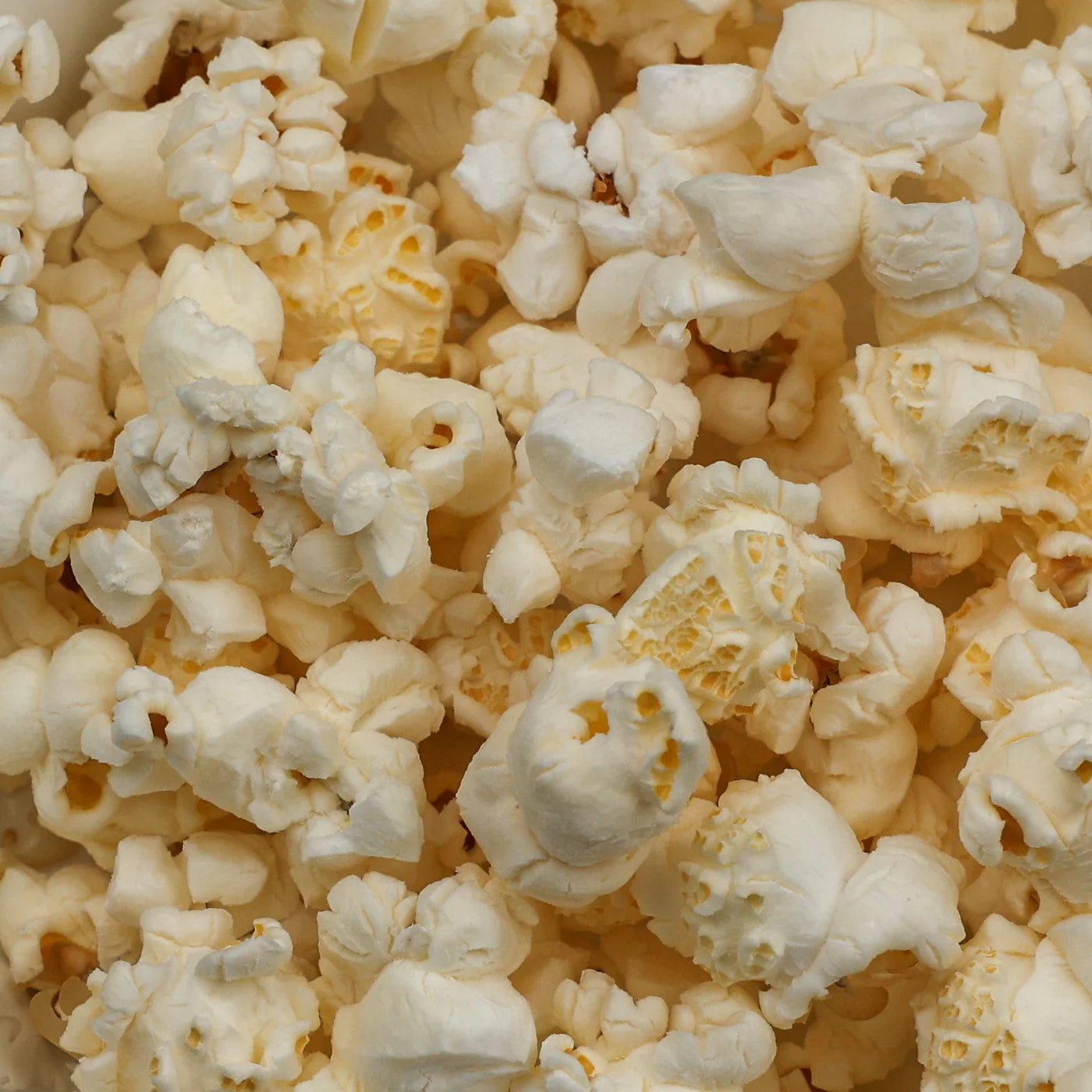 Amish Country Popcorn - Extra Large Caramel Type Popcorn