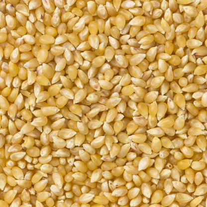 Amish Country Popcorn - Baby White Hulless Popcorn