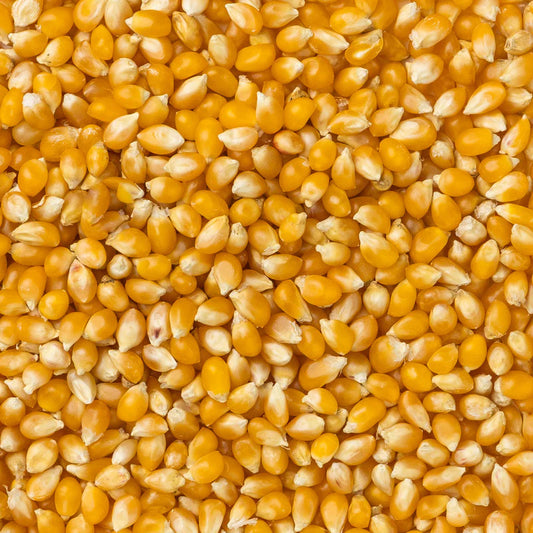 Amish Country Popcorn - Baby Yellow Popcorn