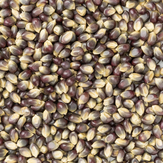 Amish Country Popcorn - Blue Popcorn