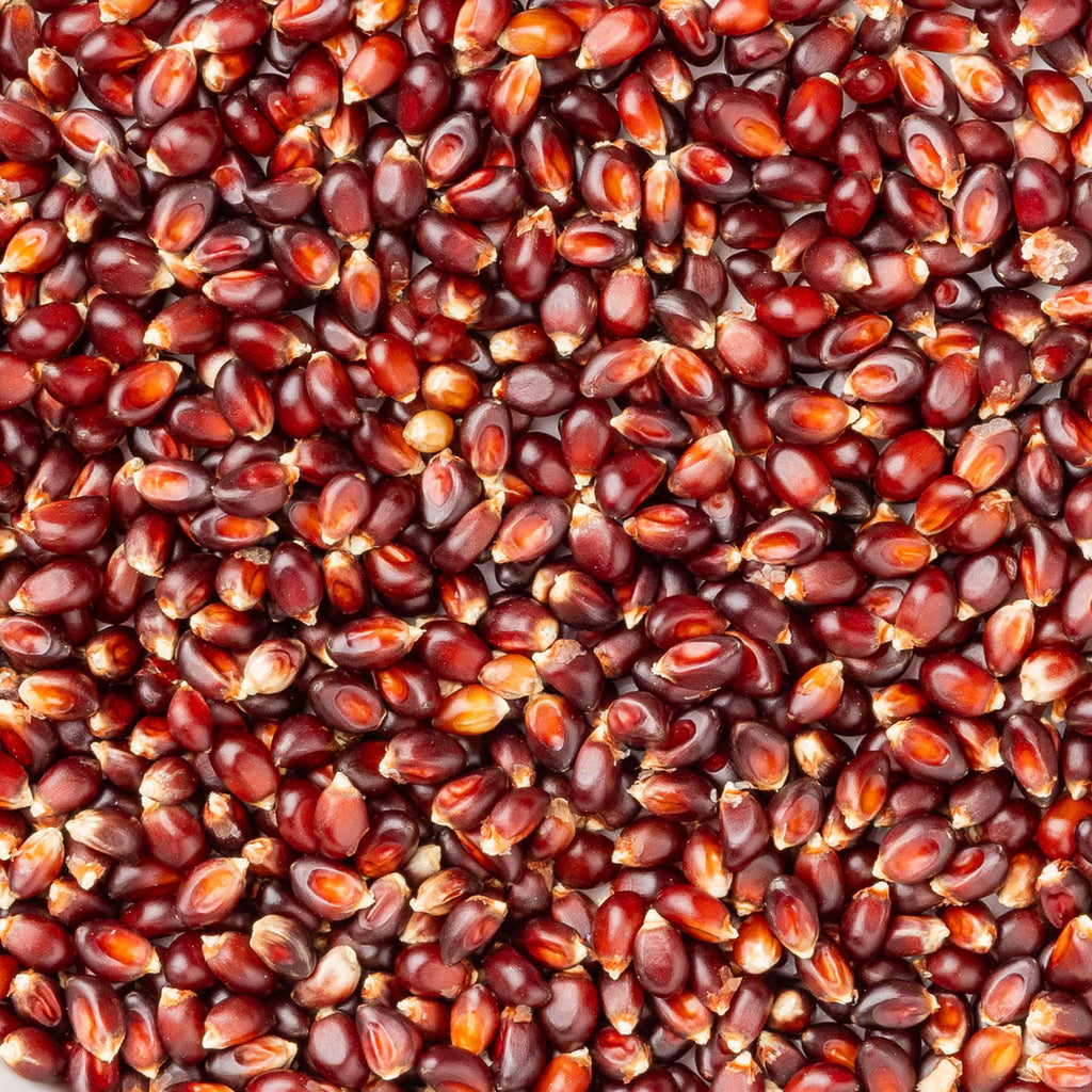 Amish Country Popcorn - Red Popcorn